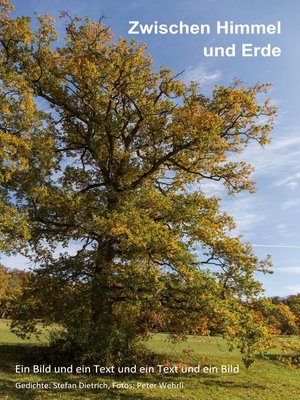 cover image of Zwischen Himmel und Erde